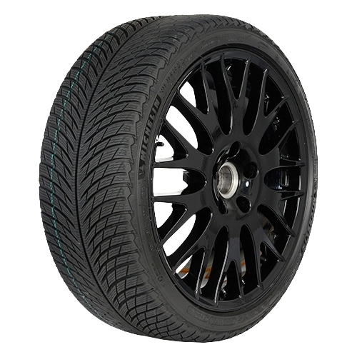 Michelin Pilot Alpin 5