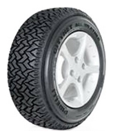 Pirelli Citynet All Weather